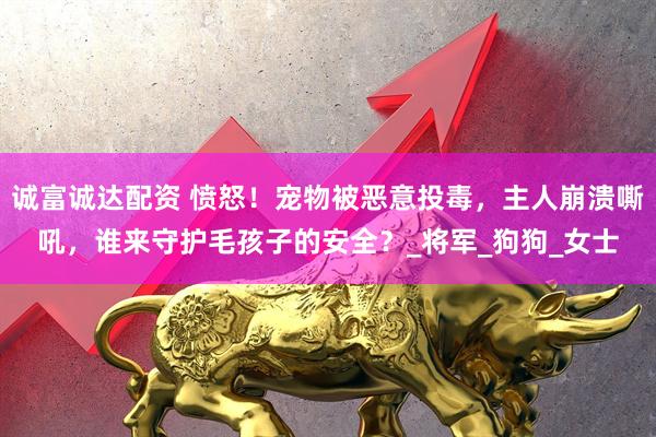 诚富诚达配资 愤怒！宠物被恶意投毒，主人崩溃嘶吼，谁来守护毛孩子的安全？_将军_狗狗_女士